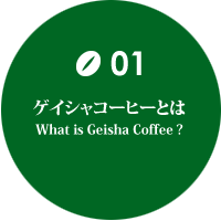 ゲイシャコーヒーとは