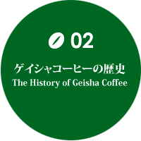 ゲイシャコーヒーの歴史