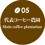 代表コーヒー農園